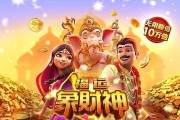 斯托扬诺维奇，斯托扬诺维奇大满贯战绩