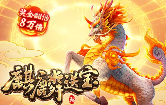 斯托扬诺维奇，斯托扬诺维奇大满贯战绩
