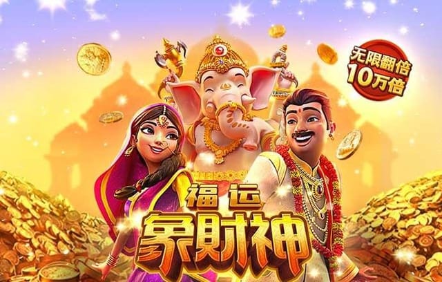 斯托扬诺维奇，斯托扬诺维奇大满贯战绩